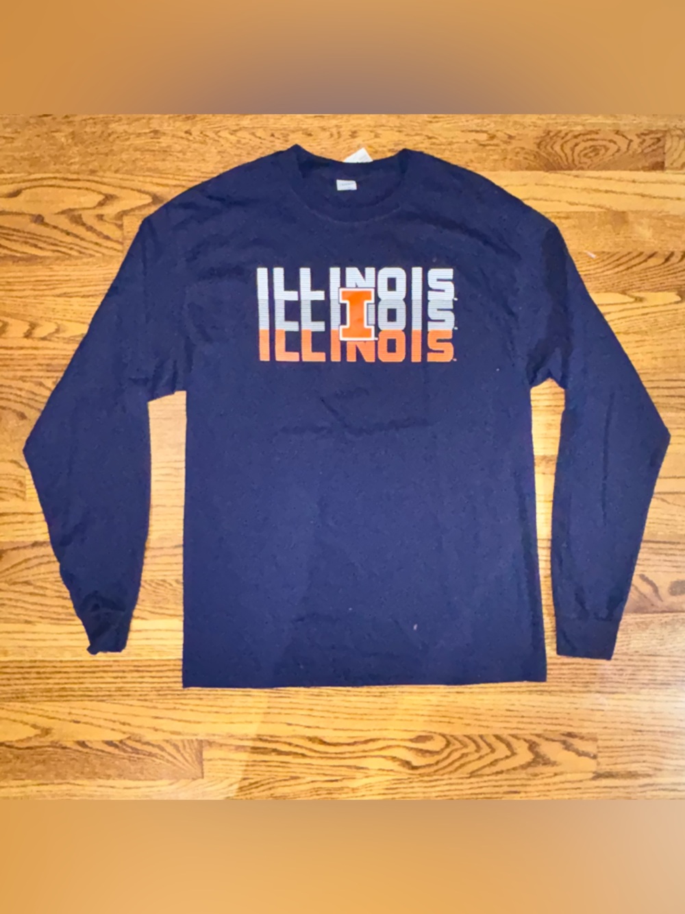 Hanes University of Illinois Fighting Illini Long Sleeve T-Shirt Large Cotton